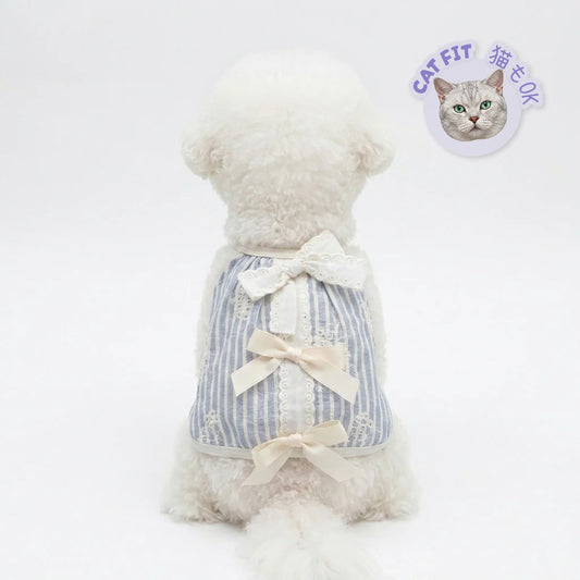 Bow Lace Stripe