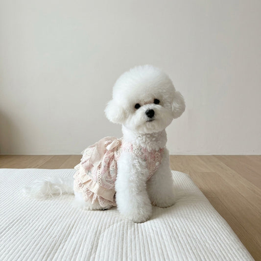 Is Healer Bow Ruffle Dress