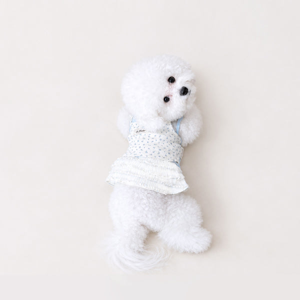 Is Healer Knit Layer Dress