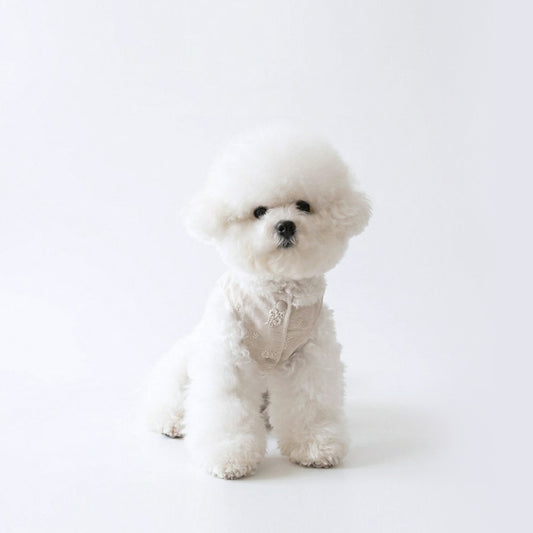 Pawlorful Linen Embroidery Vest
