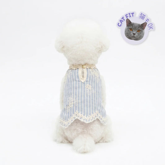 Pearl Embroidery Stripe