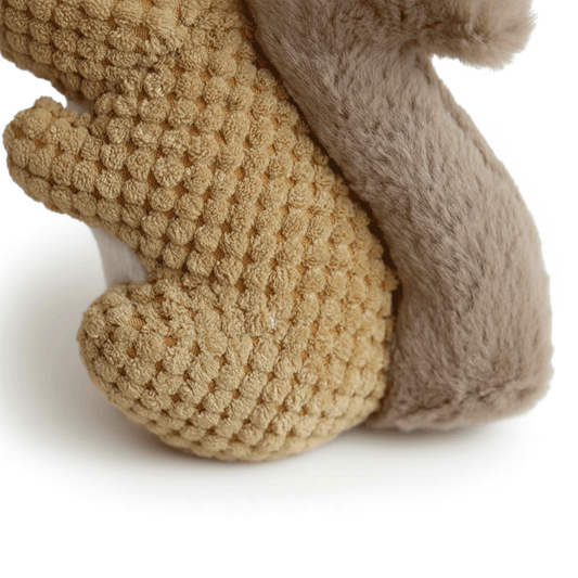 Squirrel Squeaky