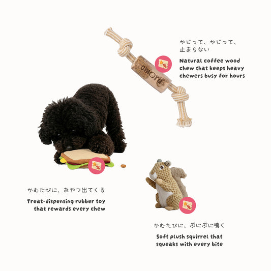 The Chewer set