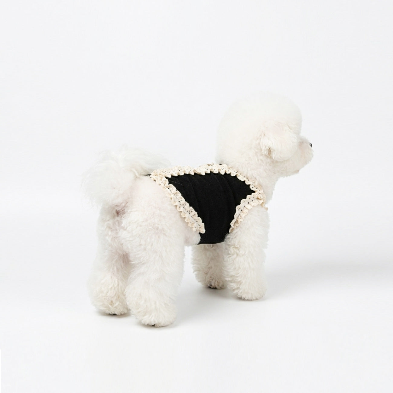 Black Frill Lace