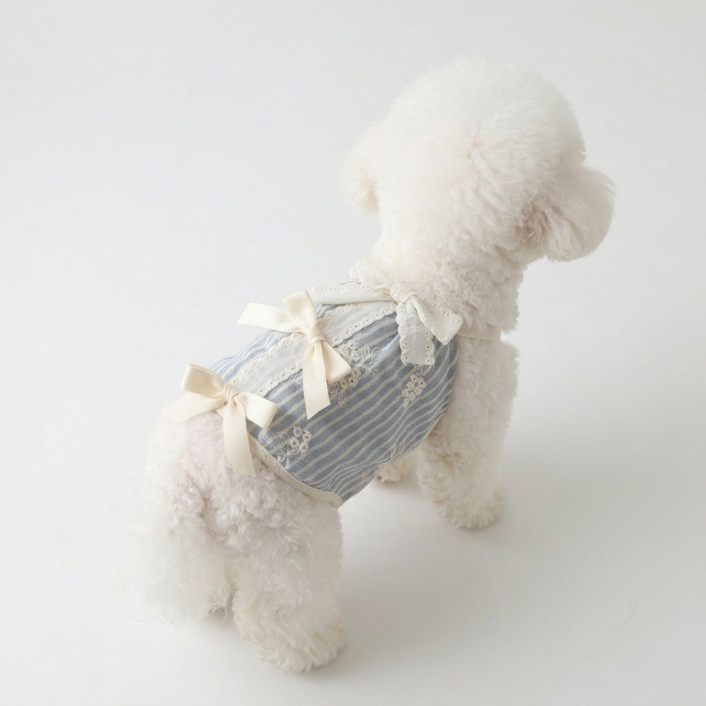 Bow Lace Stripe