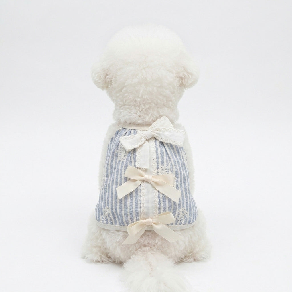 Bow Lace Stripe