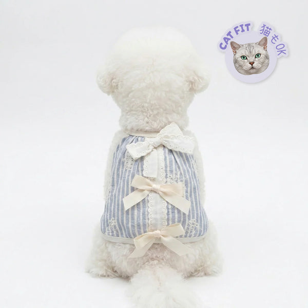 Bow Lace Stripe