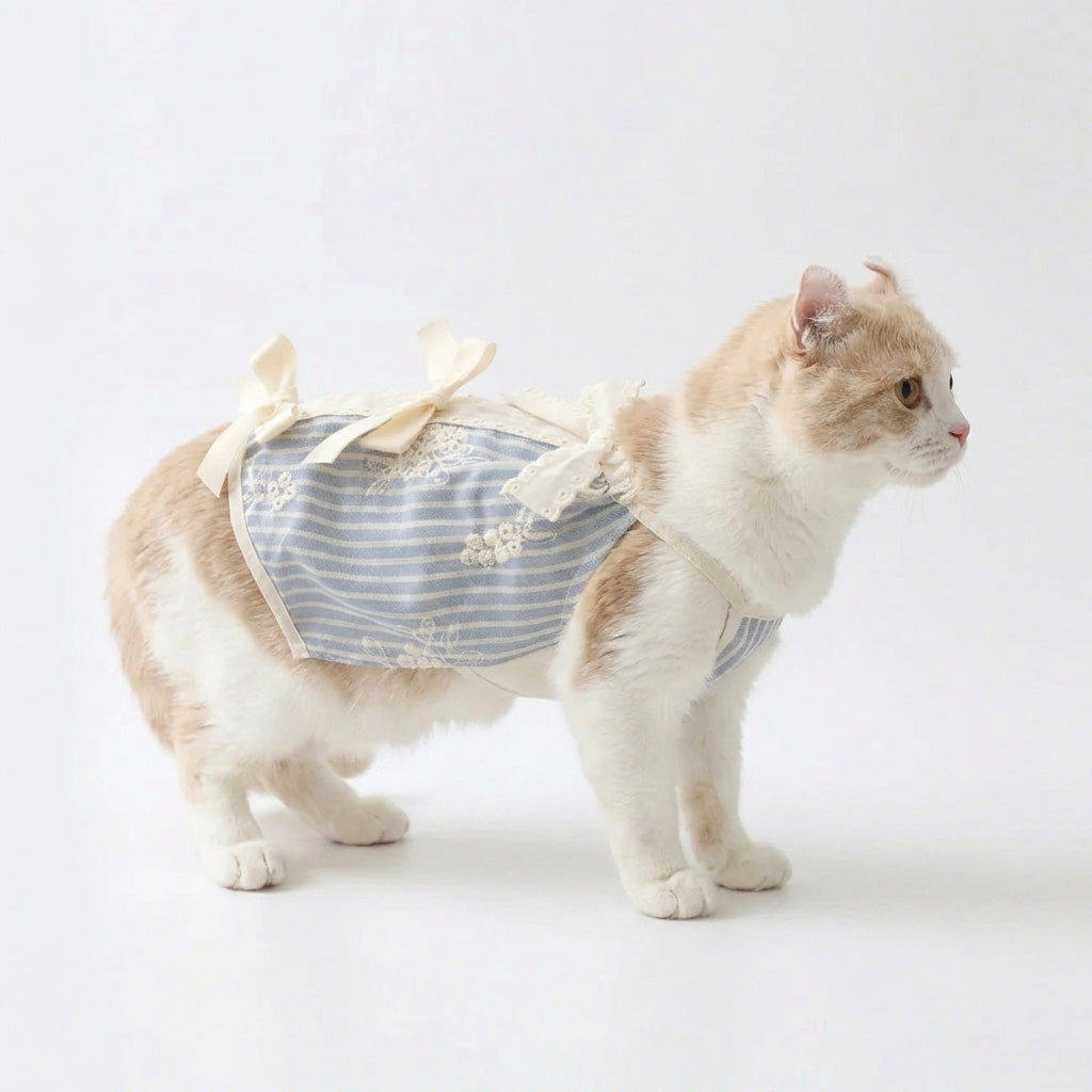 Bow Lace Stripe