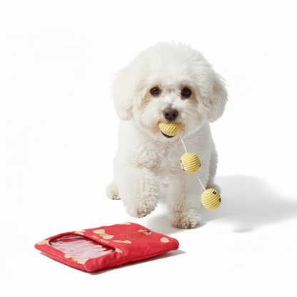 Crinkle Snack Bag