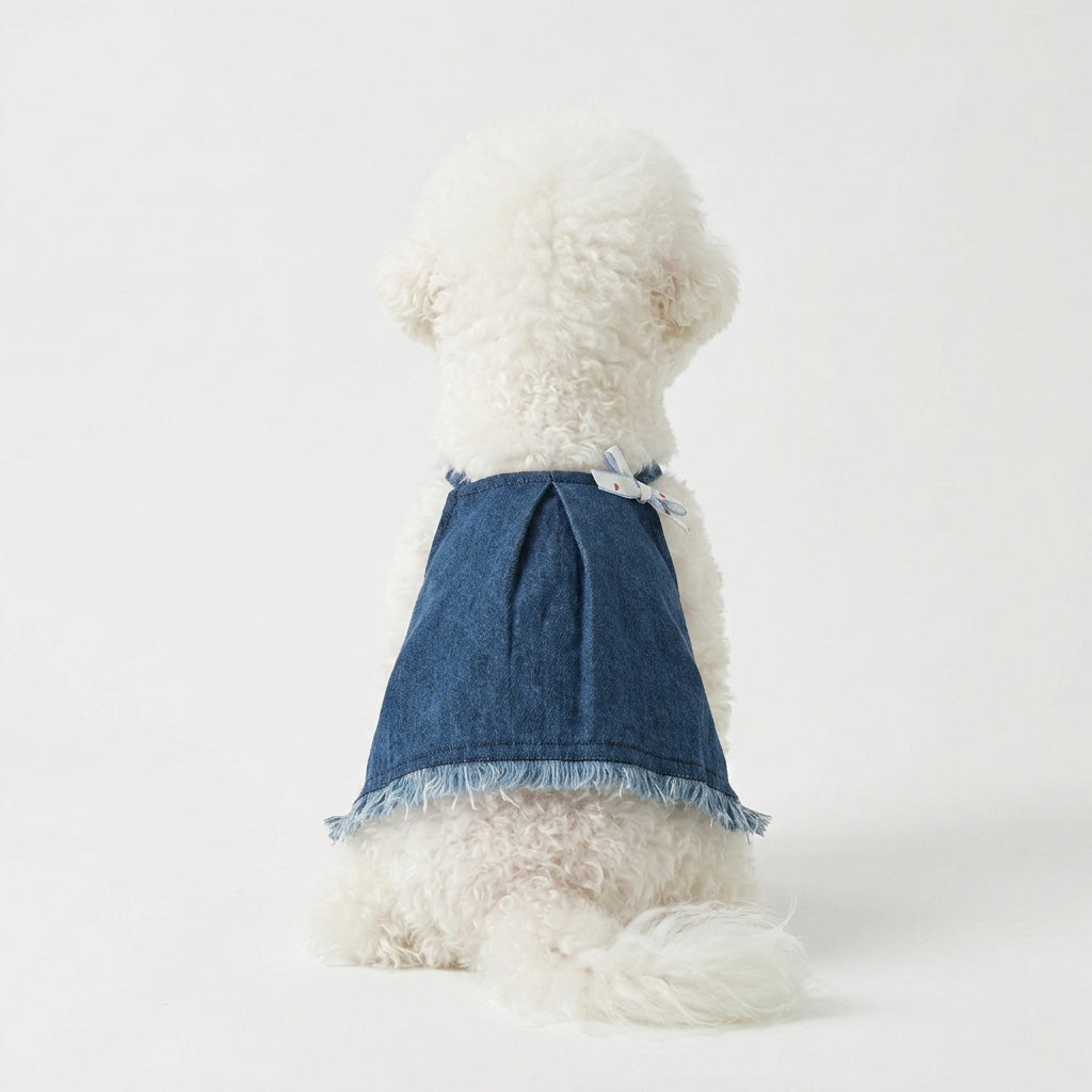 Denim Fray Skirt