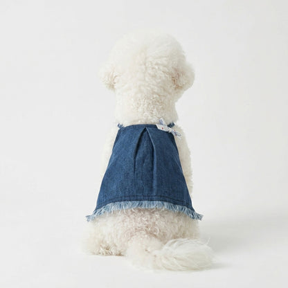 Denim Fray Skirt
