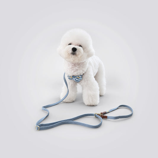DOCO Denim Leash