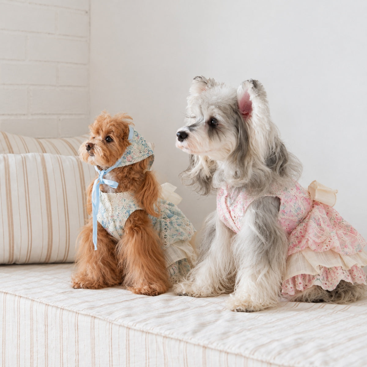 Is Healer Bow Ruffle Dress