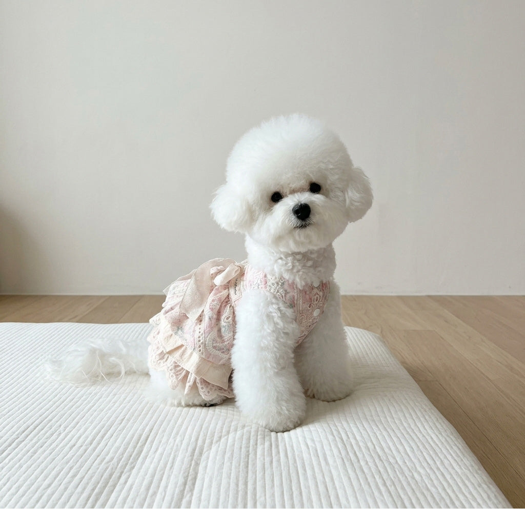 Is Healer Bow Ruffle Dress