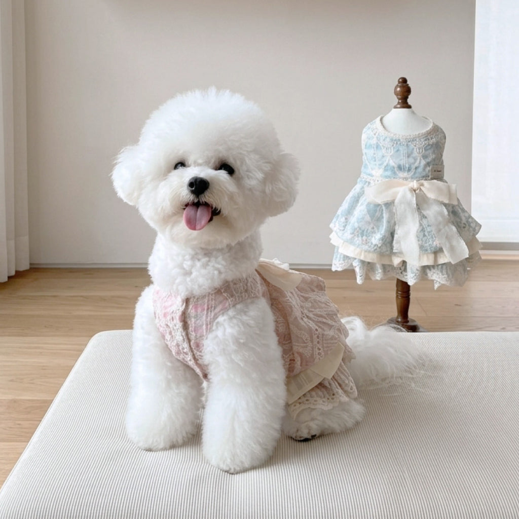 Is Healer Bow Ruffle Dress