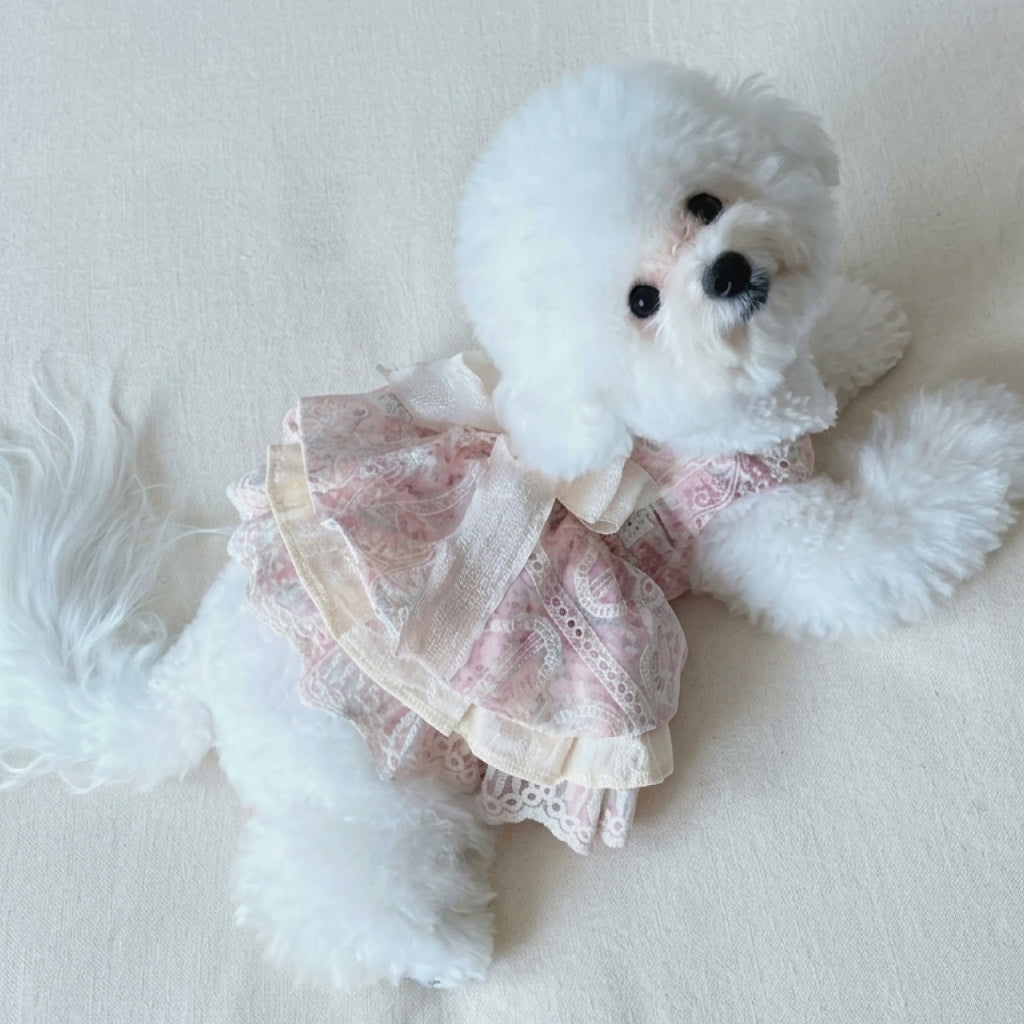 Is Healer Bow Ruffle Dress