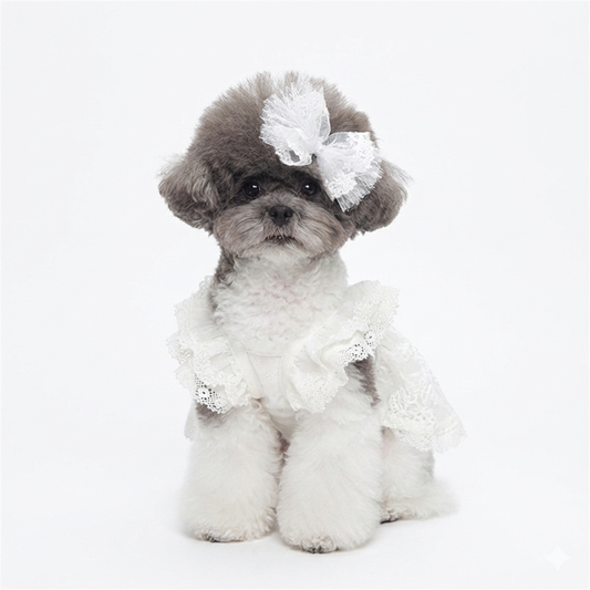 Cotton Organza Lace