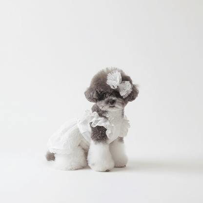 Cotton Organza Lace