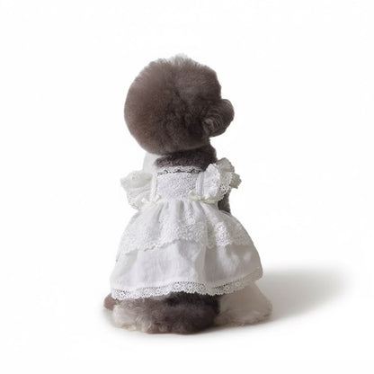 Cotton Organza Lace