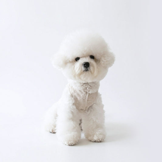 Pawlorful Linen Embroidery Vest