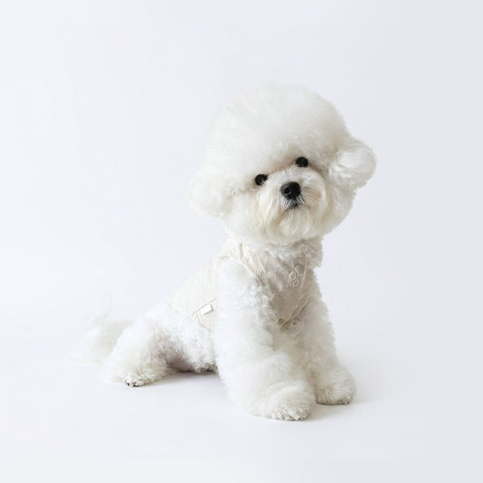 Pawlorful Linen Embroidery Vest