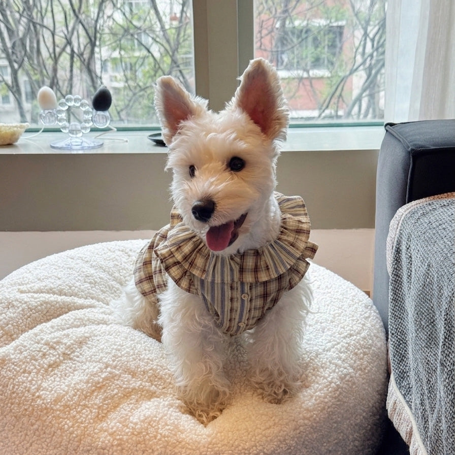 Woofolk Shakespeare Plaid Shirt