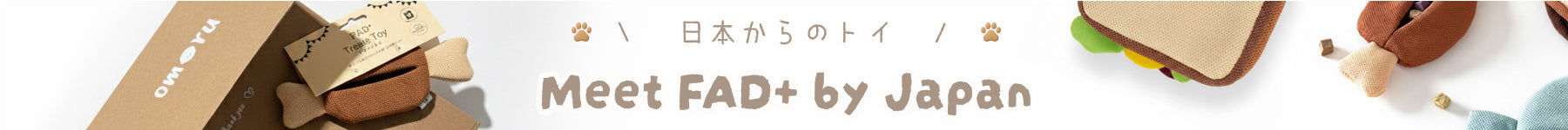 Featured section banner