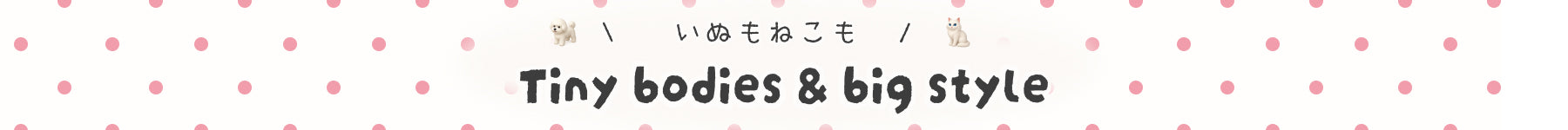Featured section banner