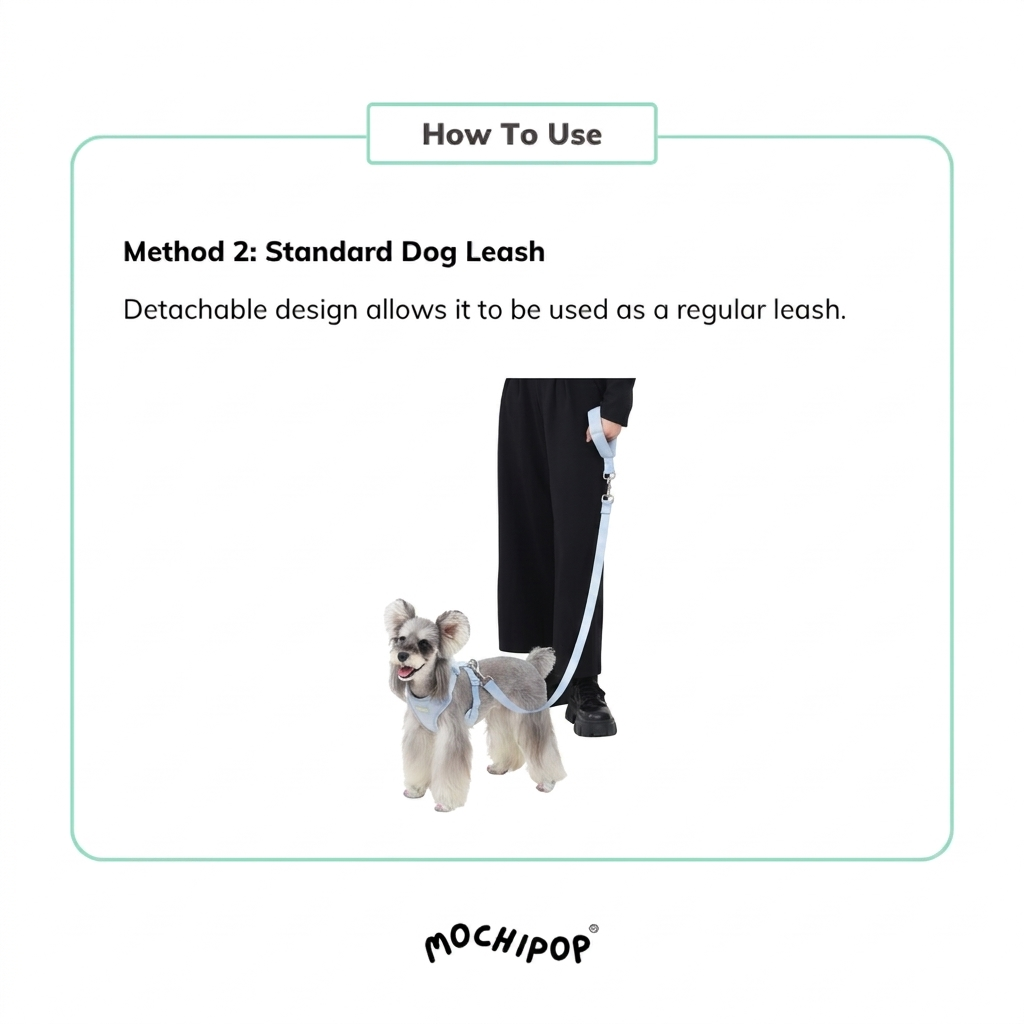 “the Bloomy” Multifunctional Fanny Bag Leash Set