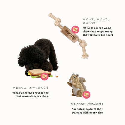 The Chewer set